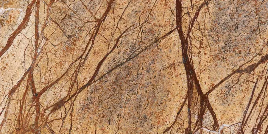 Rainforest Brown